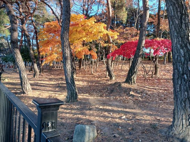 참조 이미지 입니다. 자세한 내용은 본문을 참고하세요.
